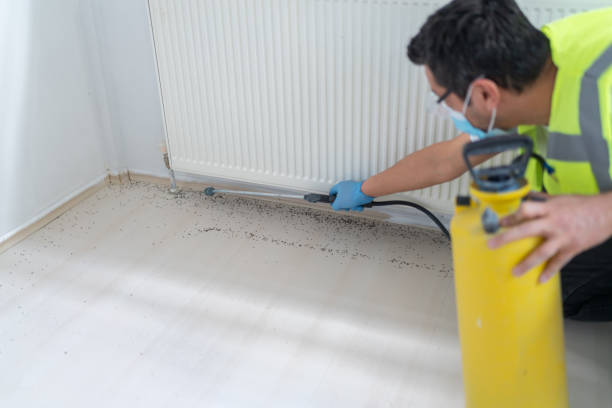 Best Termite Control Services  in Colorado City, TX